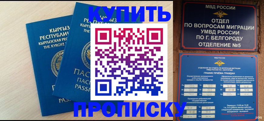 пропишу в квартире в Новосибирске